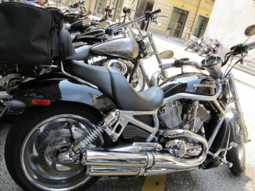sld harley005