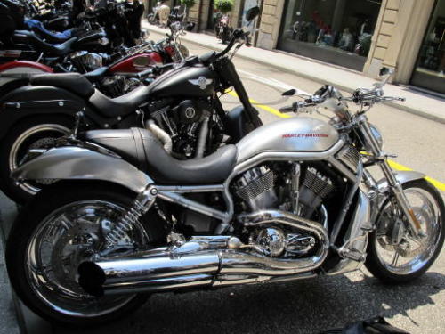 sld harley007