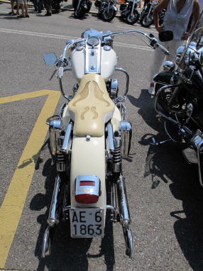 sld harley055